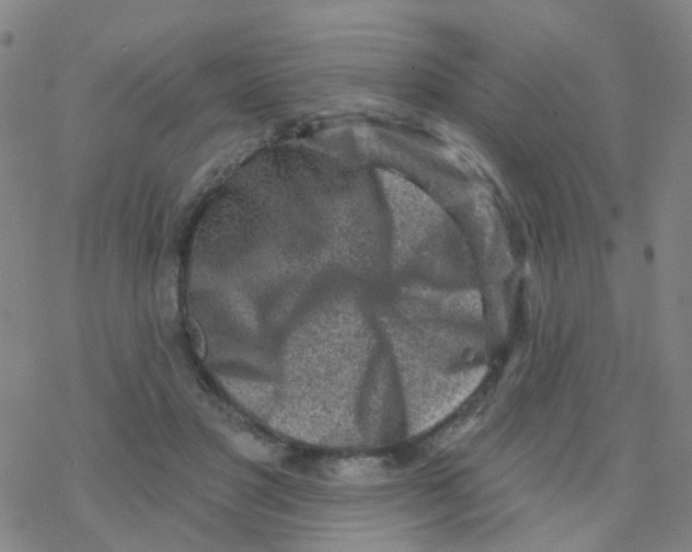 X0000076320501200610272008