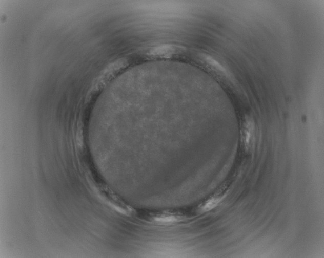 X0000076320504200610272008