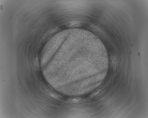 X0000076320506200610272007