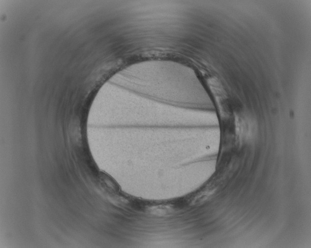 X0000076320508200610272007