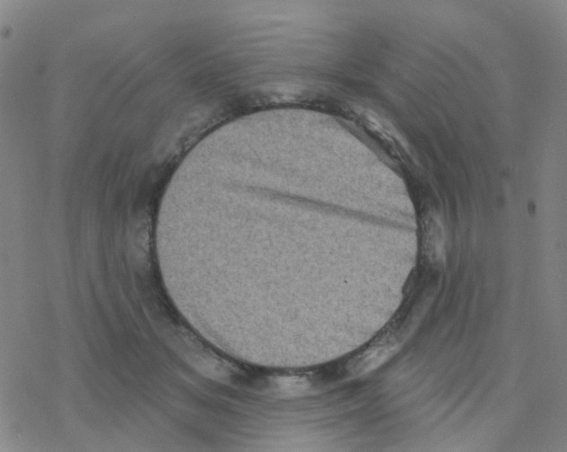 X0000076320509200610272007