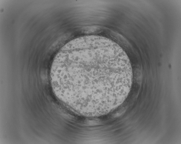 X0000076320510200610272007