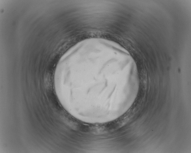 X0000076320511200610272007