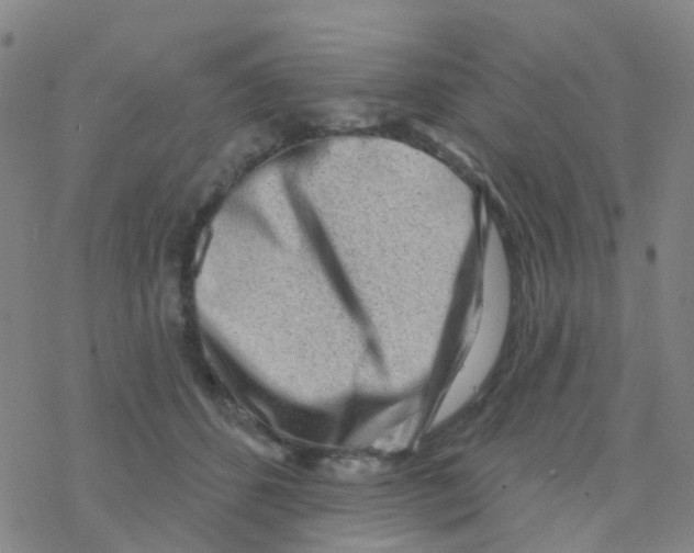 X0000076320512200610272007