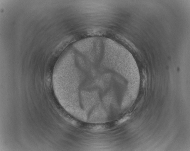 X0000076320513200610272007