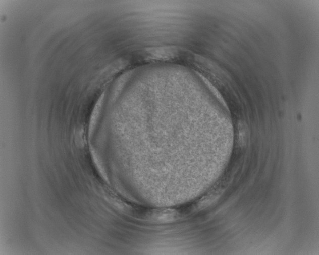 X0000076320514200610272007