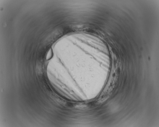 X0000076320515200610272007