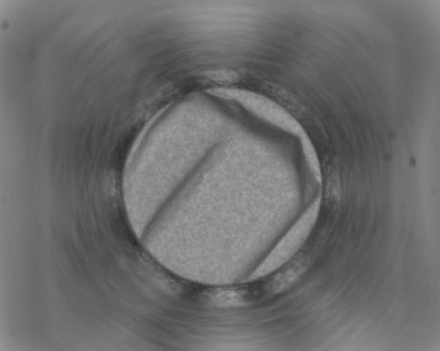 X0000076320518200610272007