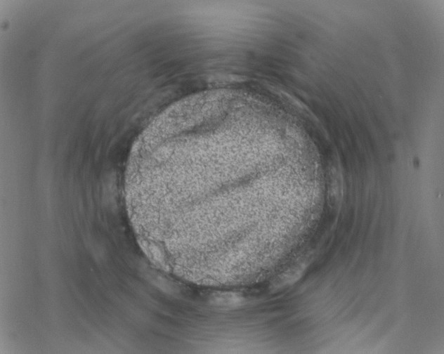 X0000076320519200610272007