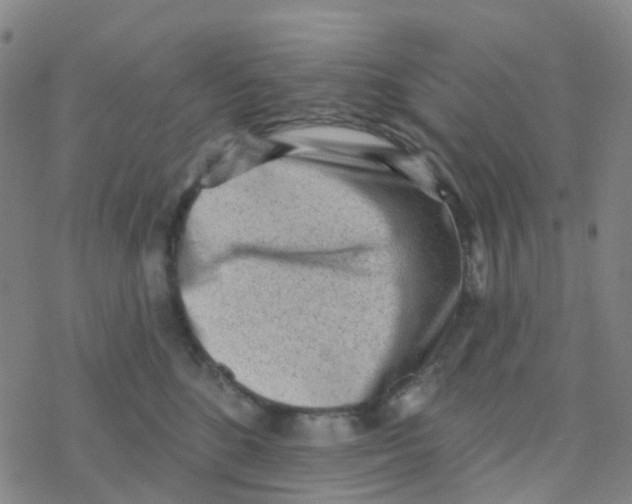 X0000076320520200610272007