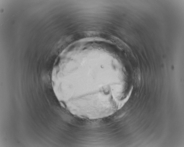 X0000076320523200610272007