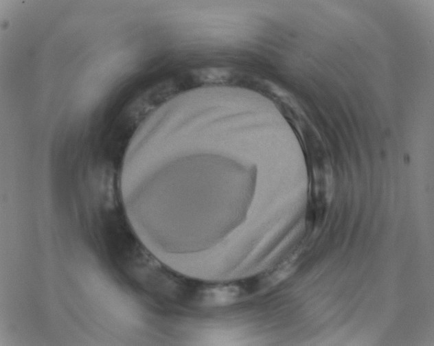 X0000076320525200610272007