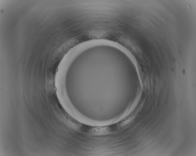 X0000076320526200610272007