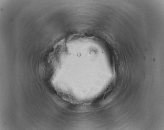 X0000076320527200610272007