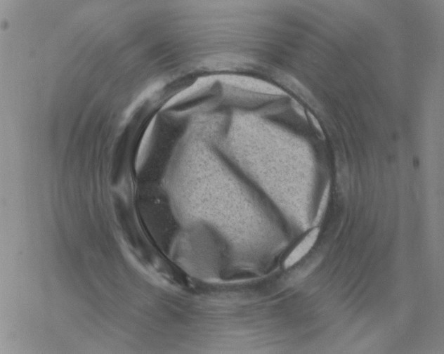 X0000076320530200610272006