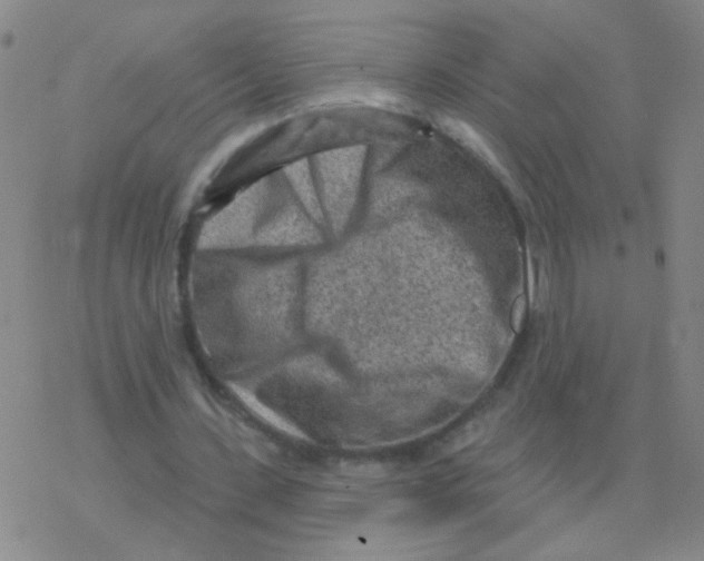 X0000076320531200610272006