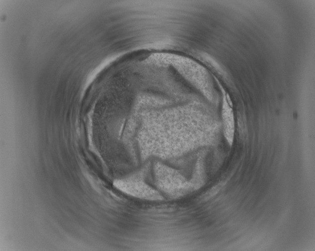 X0000076320532200610272006