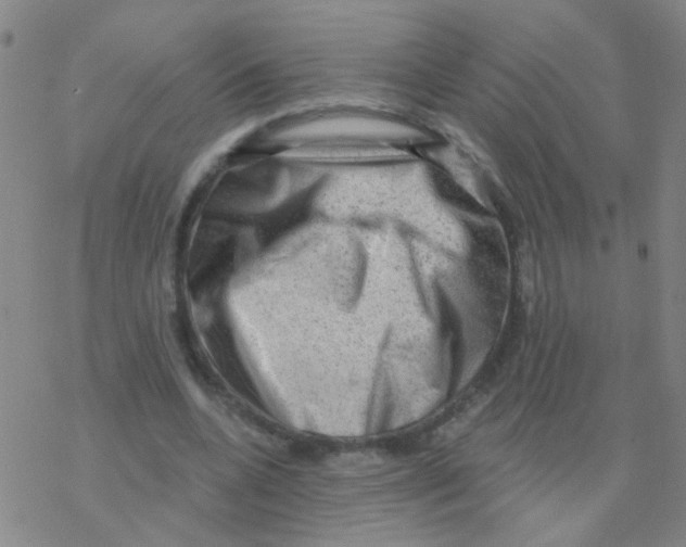 X0000076320536200610272006