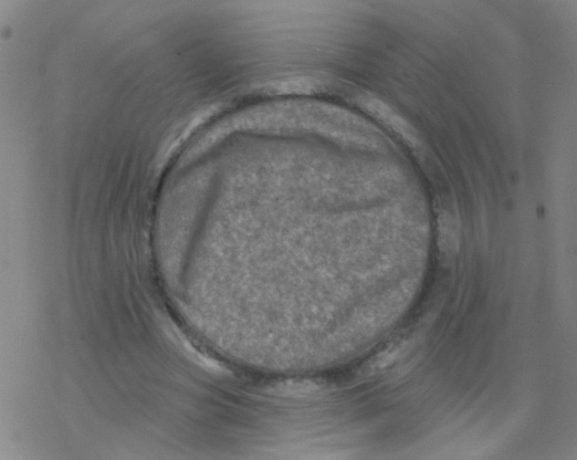 X0000076320537200610272006