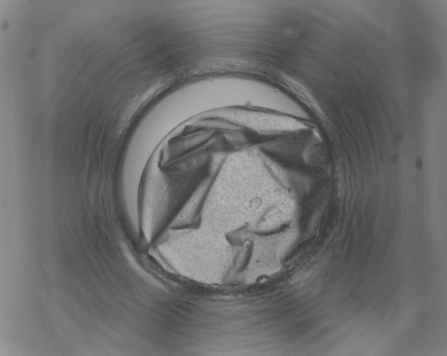 X0000076320538200610272006