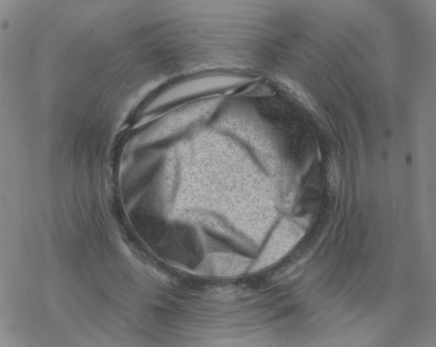 X0000076320540200610272007