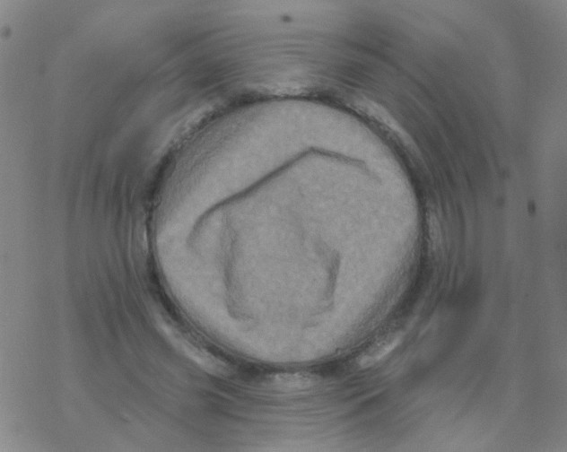 X0000076320541200610272007