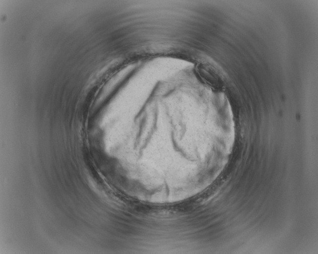 X0000076320542200610272007