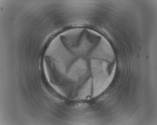 X0000076320543200610272007