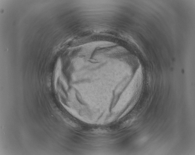 X0000076320545200610272007