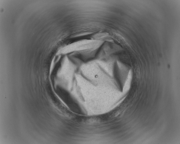 X0000076320546200610272007