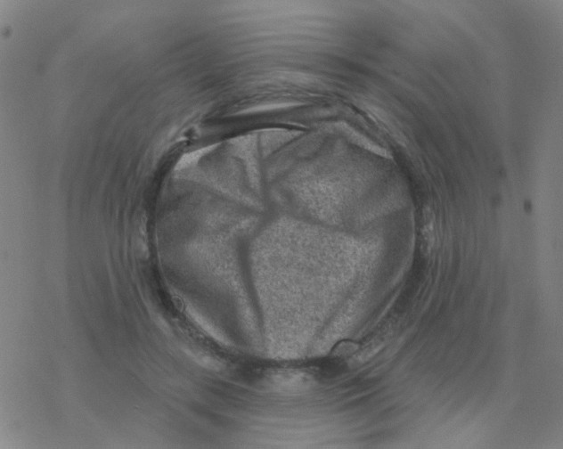 X0000076320547200610272007