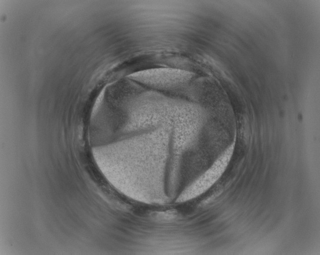 X0000076320548200610272007