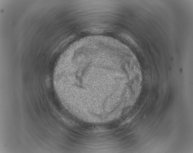 X0000076320549200610272007