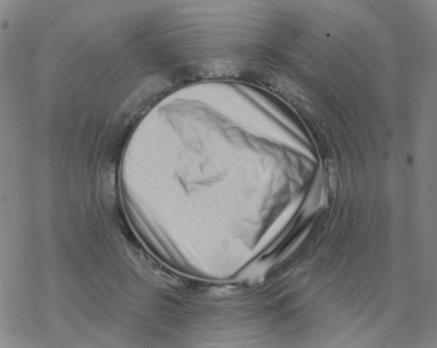 X0000076320550200610272007