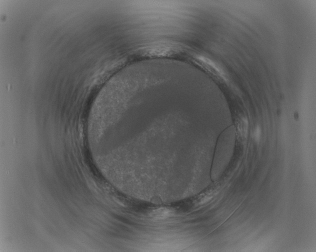 X0000076320551200610272007