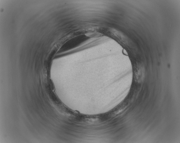 X0000076320552200610272007