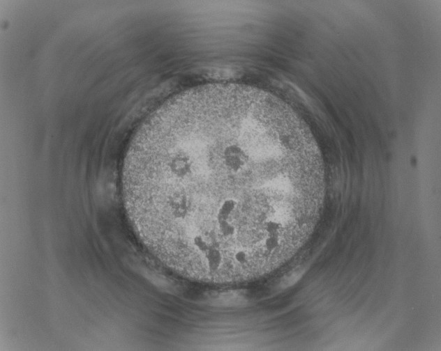 X0000076320553200610272007