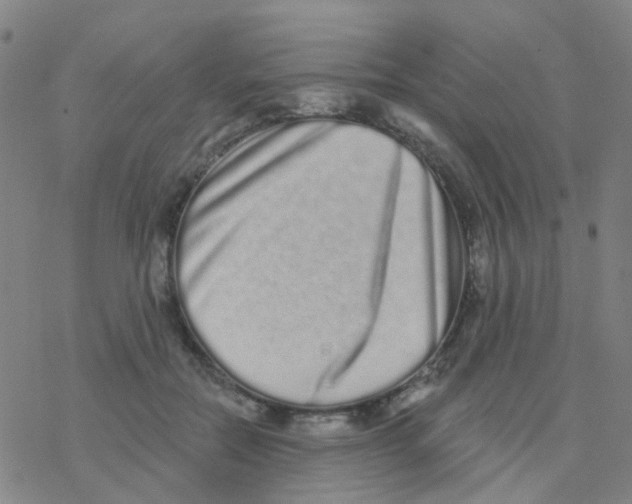 X0000076320554200610272007