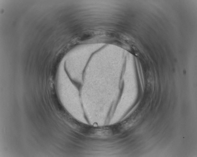 X0000076320555200610272007