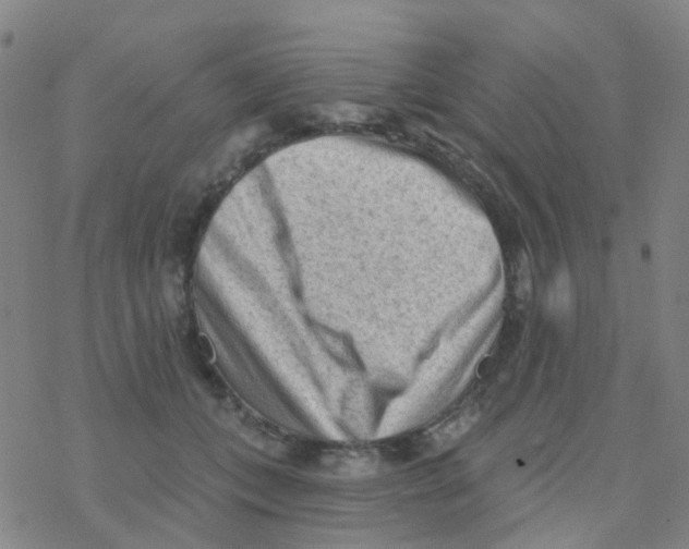 X0000076320559200610272007