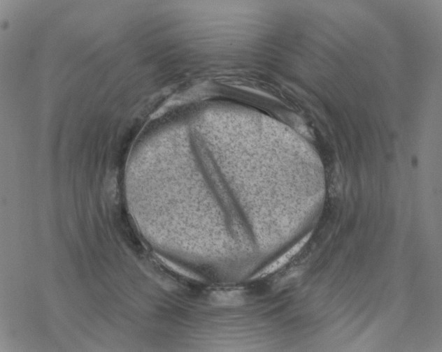 X0000076320560200610272007