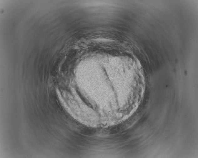 X0000076320561200610272007