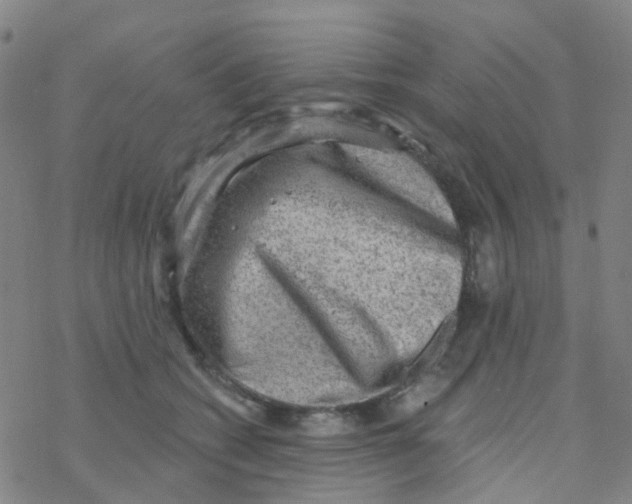 X0000076320562200610272007