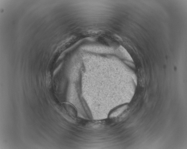 X0000076320563200610272007