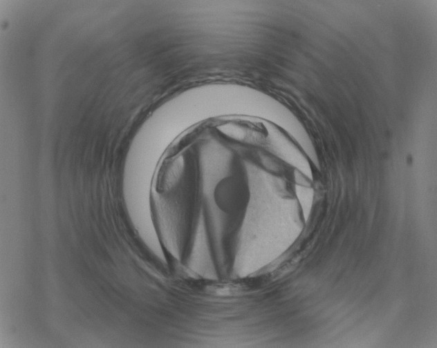 X0000076320564200610272007