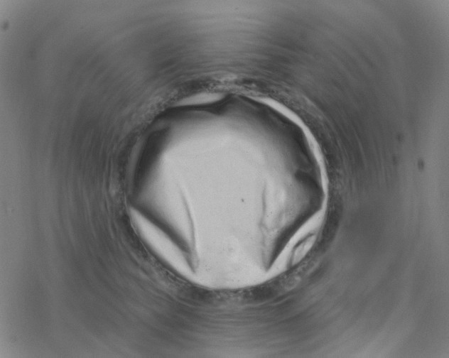 X0000076320565200610272007