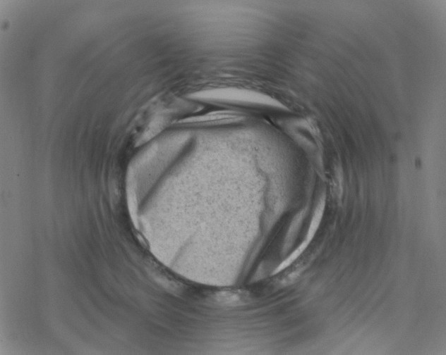 X0000076320566200610272007