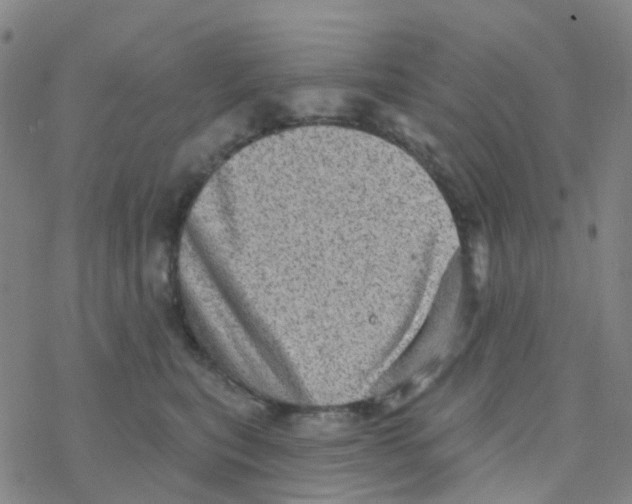 X0000076320567200610272007