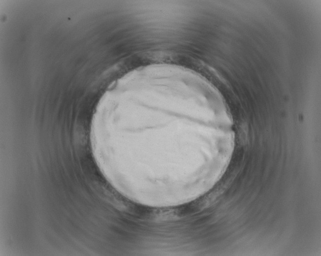 X0000076320569200610272007