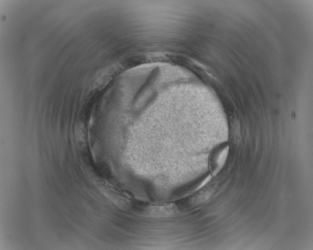 X0000076320571200610272007